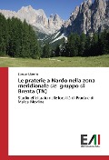 Cover-Bild zum Titel 'Le praterie a Nardo nella zona meridionale del gruppo di Brenta (TN)' von 'Samuel Litterini'
