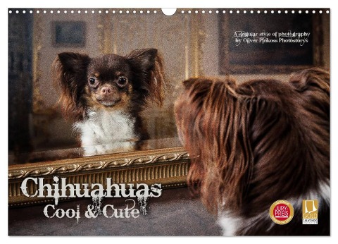 Chihuahuas - Cool and Cute (Wandkalender 2024 DIN A3 quer), CALVENDO Monatskalender - Oliver Pinkoss Photostorys