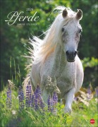 Cover-Bild zum Titel 'Pferde Classics Posterkalender 2026' von ''