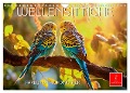Wellensittiche farbenfroh und munter (Wandkalender 2024 DIN A4 quer), CALVENDO Monatskalender - Peter Roder