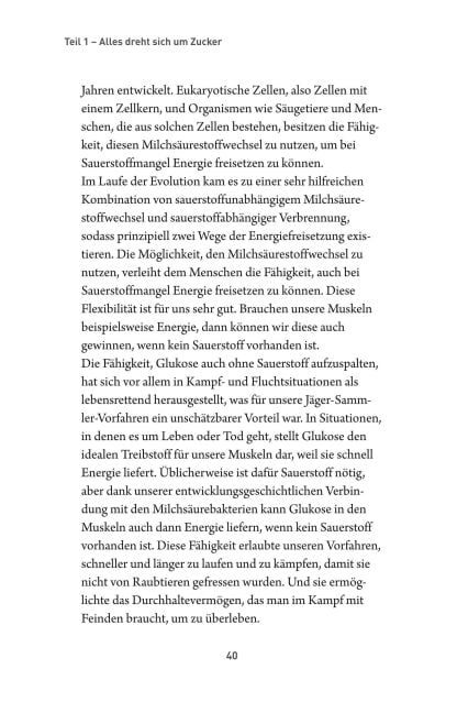 InsideView 41
