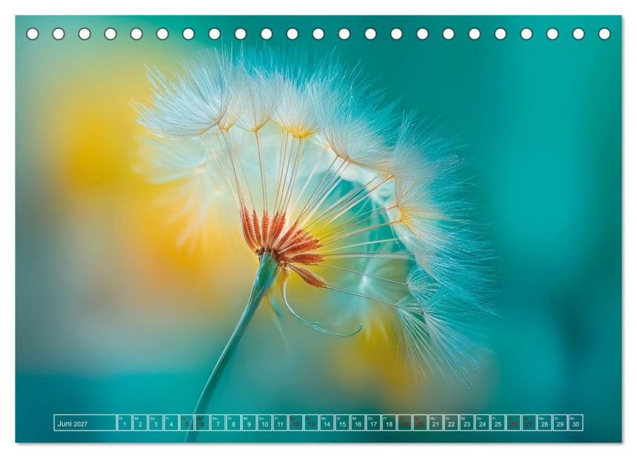 InsideView 11