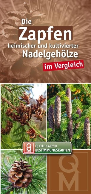 Die Zapfen heimischer und kultivierter Nadelgehölze im Vergleich - 