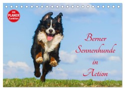 Cover-Bild zum Titel 'Berner Sennenhunde in Action (Tischkalender 2026 DIN A5 quer), CALVENDO Monatskalender' von 'Sigrid Starick'