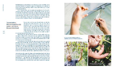InsideView 5