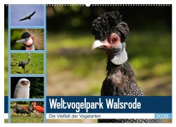 Cover-Bild zum Titel 'Weltvogelpark Walsrode - Die Vielfalt der Vogelarten (Wandkalender 2026 DIN A2 quer), CALVENDO Monatskalender' von 'Frank Gayde Quelle: Weltvogelpark Walsrode'