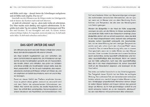 InsideView 6