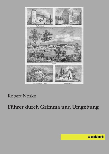 Führer durch Grimma und Umgebung - Robert Noske