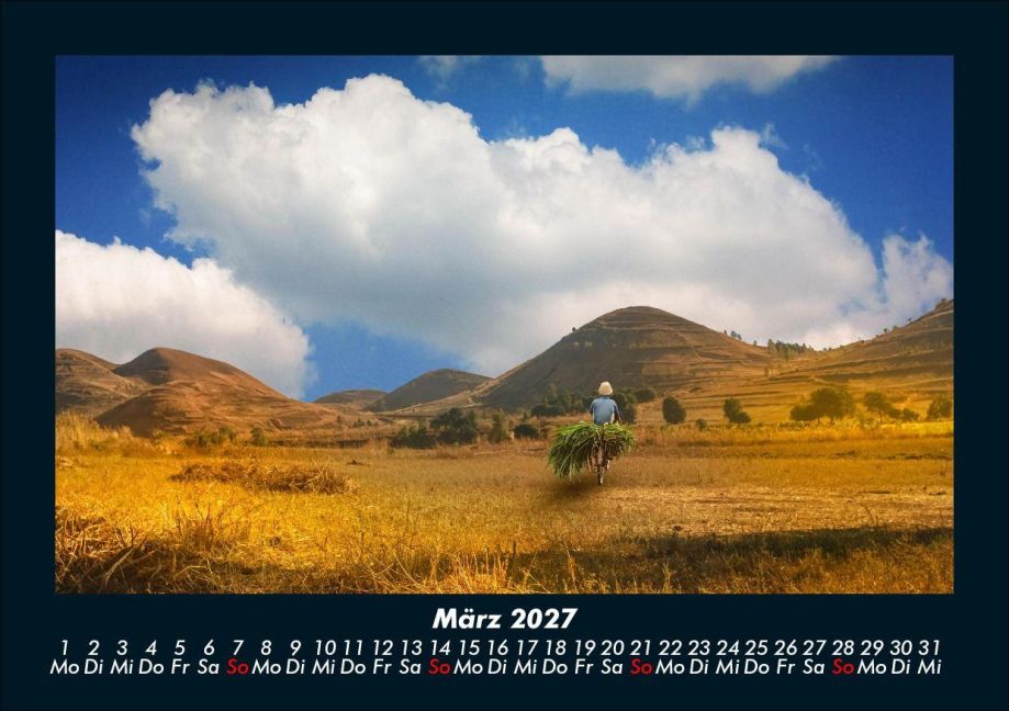 InsideView 7
