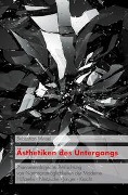 Cover-Bild zum Titel 'Ästhetiken des Untergangs' von 'Sebastian Meisel'