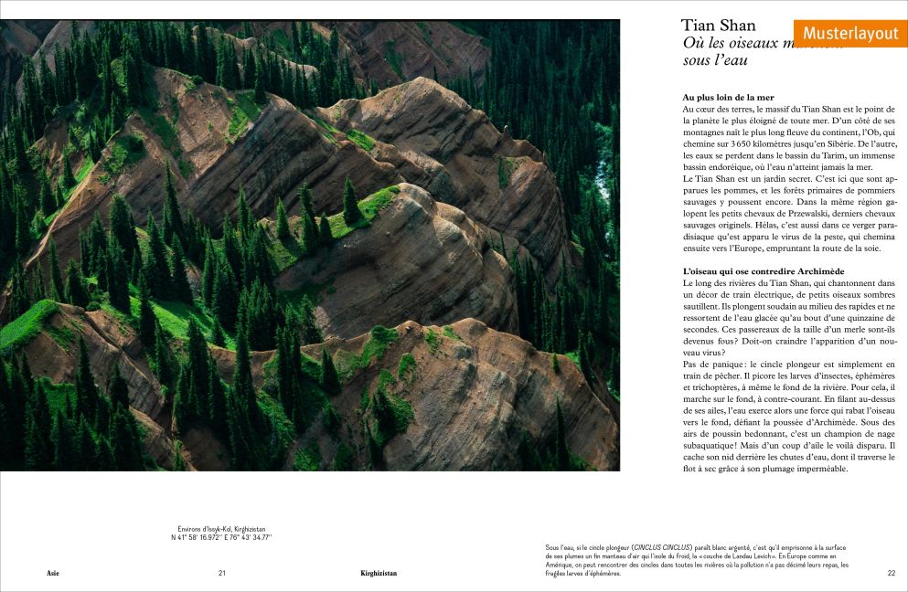 InsideView 5