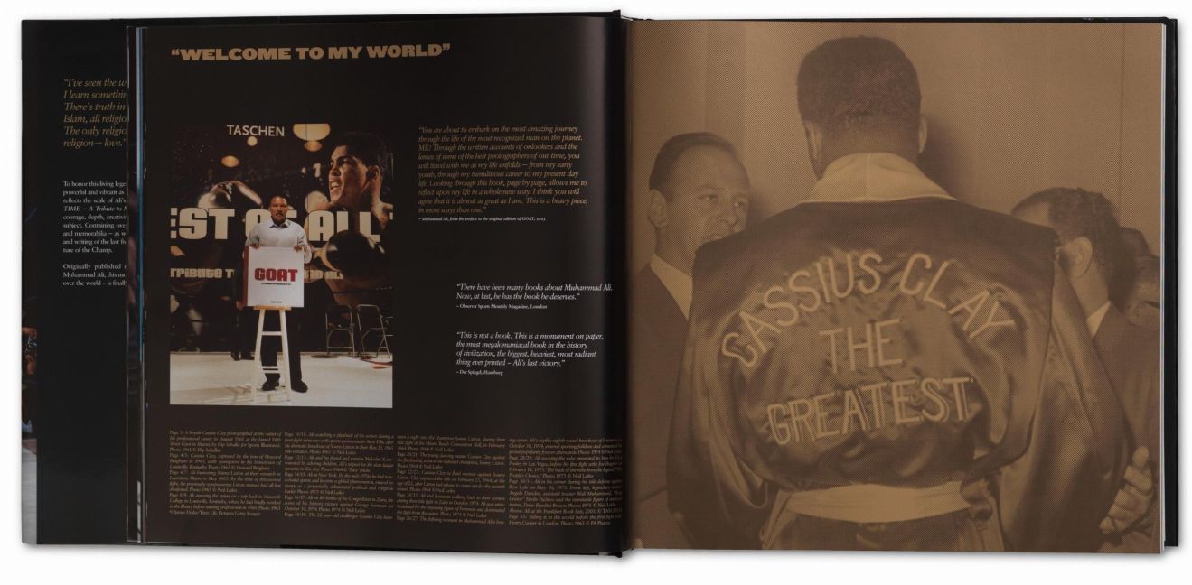 InsideView 12