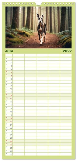 InsideView 11