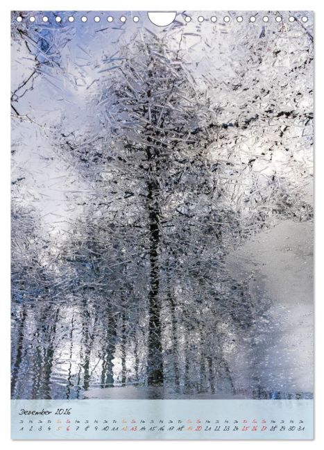 InsideView 4