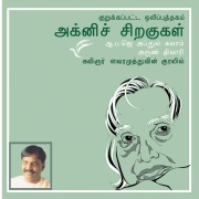 Cover-Bild zum Titel 'Agni Chiragugal - Wings of Fire' von 'Apj Abdul Kalam'