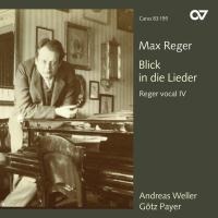 Blick In Die Lieder - Weller/Payer