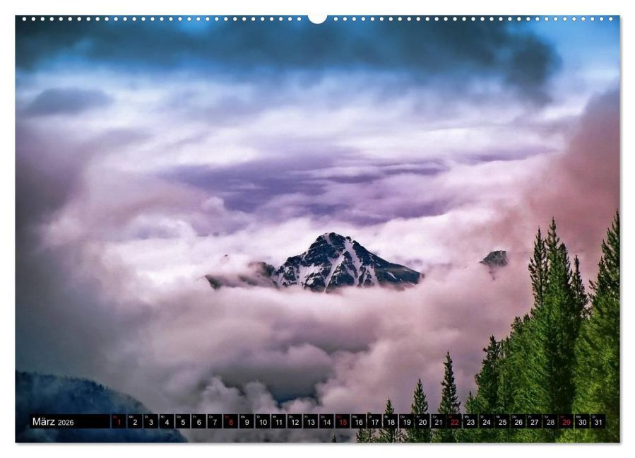 InsideView 8