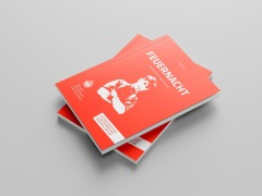 Cover-Bild zum Titel 'Feuernacht' von 'Roland Lang'