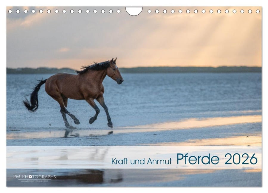 Pferde 2026 Kraft und Anmut (Wandkalender 2026 DIN A4 quer), CALVENDO Monatskalender - Paula Müller