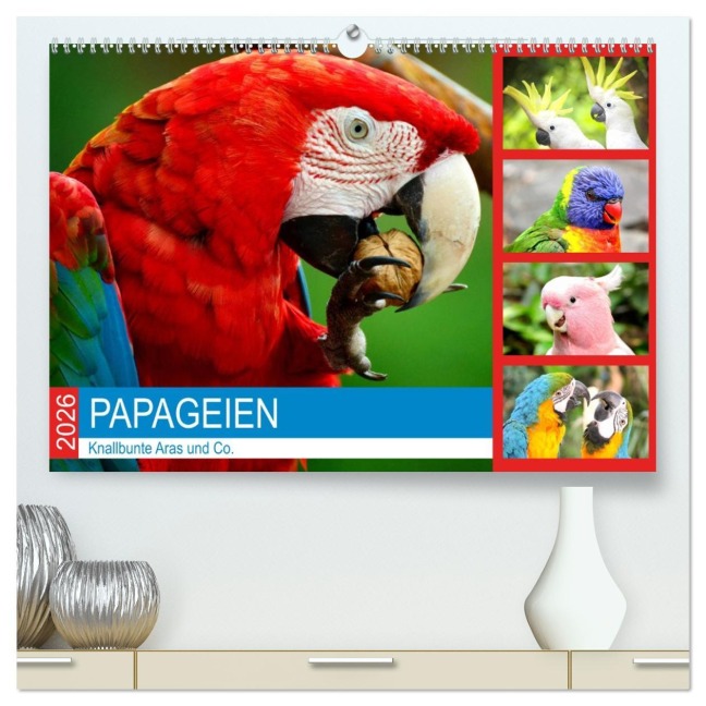 Papageien. Knallbunte Aras und Co. (hochwertiger Premium Wandkalender 2026 DIN A2 quer), Kunstdruck in Hochglanz - Rose Hurley