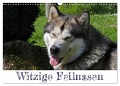 Witzige Fellnasen (Wandkalender 2024 DIN A3 quer), CALVENDO Monatskalender - Silvia Drafz