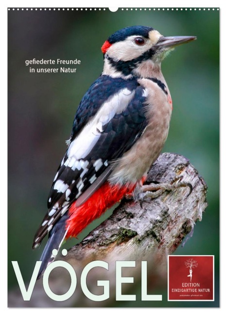 Vögel - gefiederte Freunde in unserer Natur (Wandkalender 2026 DIN A2 hoch), CALVENDO Monatskalender - Peter Roder