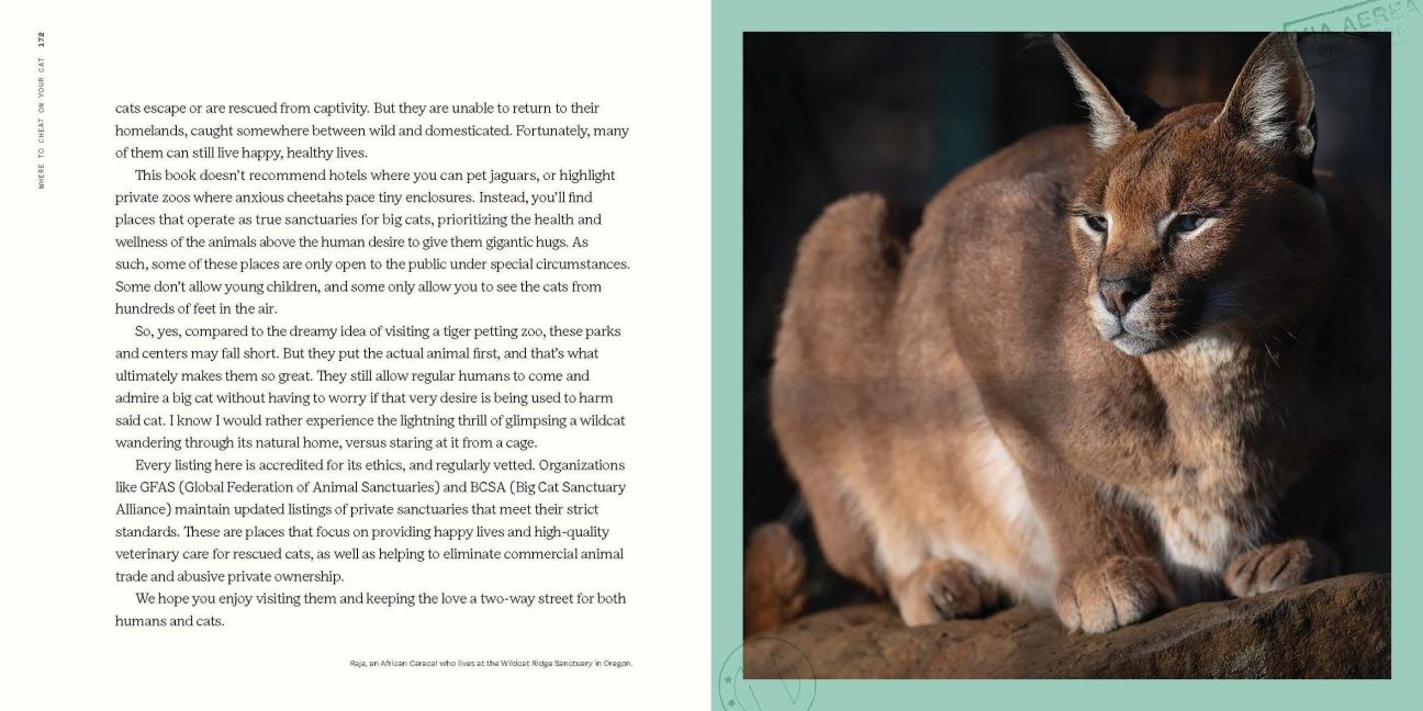InsideView 18