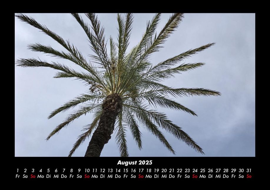 InsideView 12