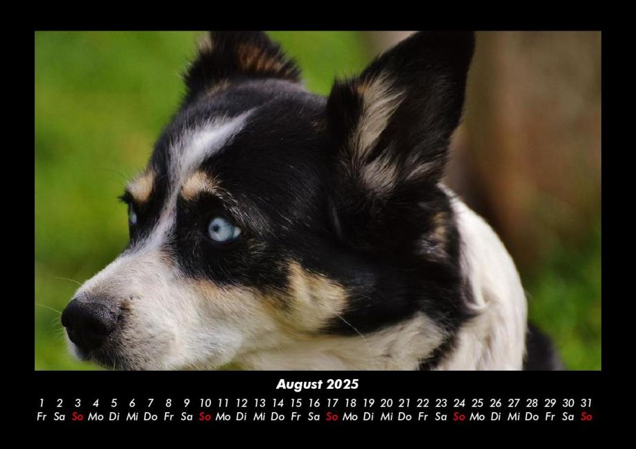 InsideView 12