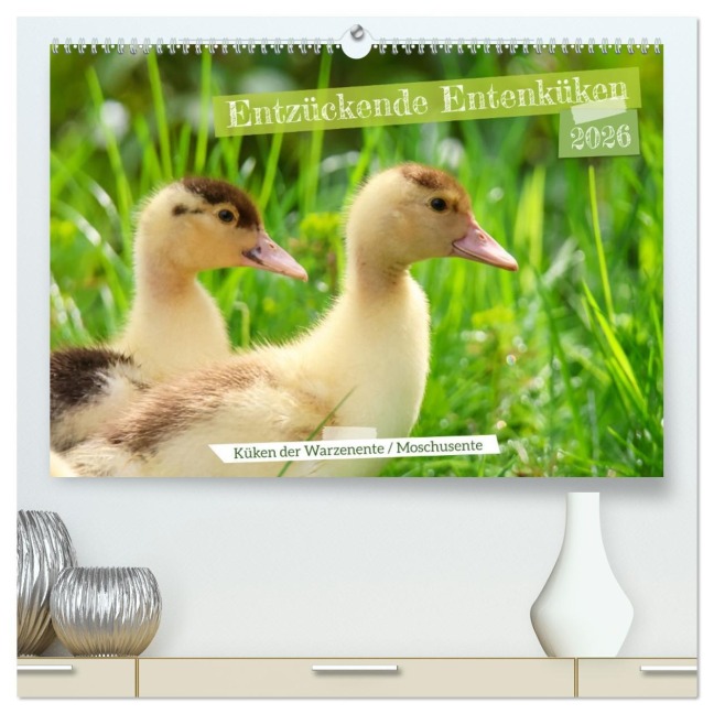 Entzückende Entenküken (hochwertiger Premium Wandkalender 2026 DIN A2 quer), Kunstdruck in Hochglanz - Sabine Löwer