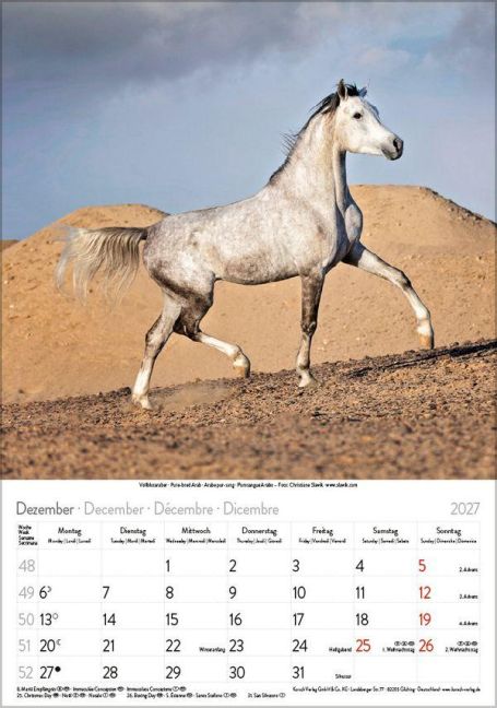InsideView 12