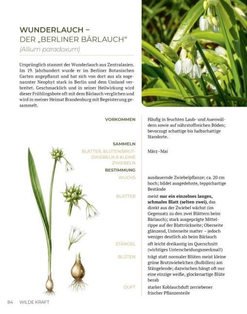 InsideView 13