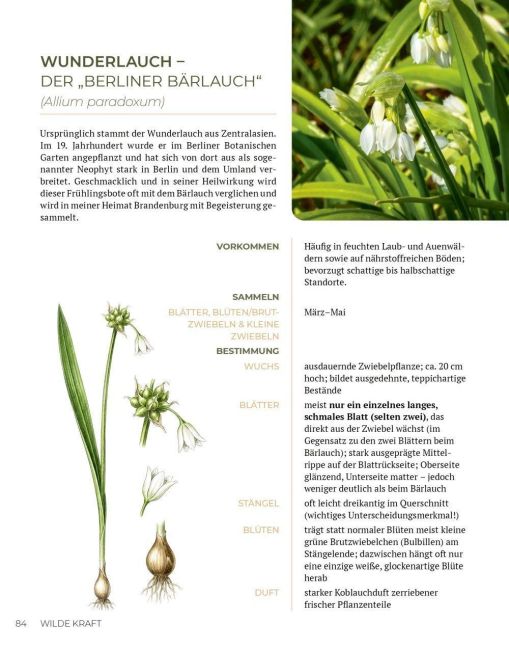 InsideView 13