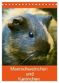 Meerschweinchen und Kaninchen Familienplaner (Tischkalender 2025 DIN A5 hoch), CALVENDO Monatskalender - Kattobello Kattobello