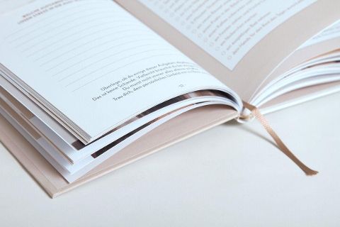 InsideView 5