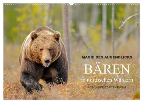 Magie des Augenblicks - Bären in nordischen Wäldern (Wandkalender 2024 DIN A2 quer), CALVENDO Monatskalender - Winfried Wisniewski