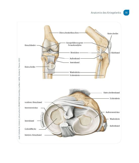 InsideView 9