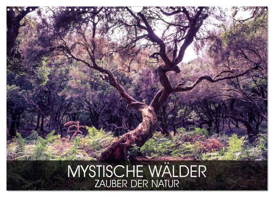 Mystische Wälder - Zauber der Natur (Wandkalender 2026 DIN A3 quer), CALVENDO Monatskalender - Val Thoermer