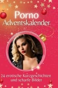 Cover-Bild zum Titel 'Adventskalender Porno' von 'Emilia Möller'