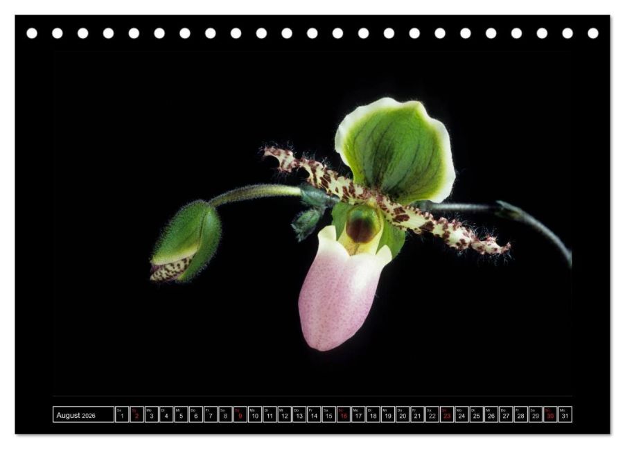 InsideView 13