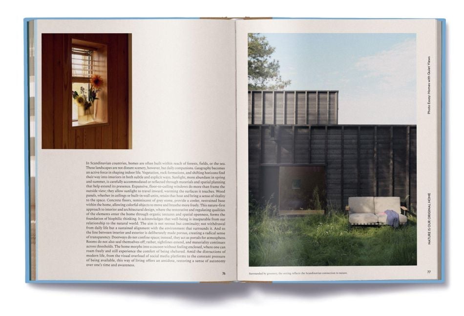 InsideView 4