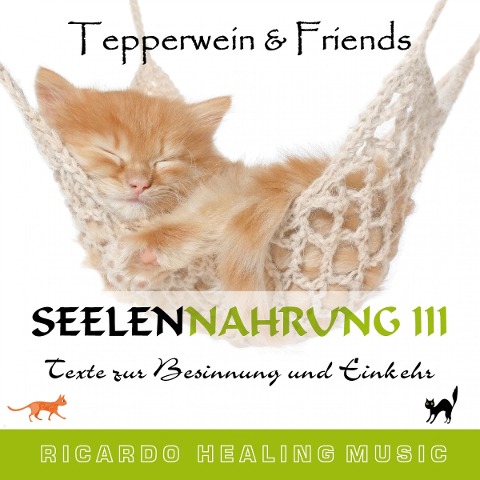 Seelennahrung 3: Texte zur Besinnung und Einkehr (Tepperwein and Friends) - 