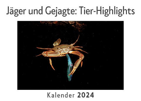 Jäger und Gejagte: Tier-Highlights (Wandkalender 2024, Kalender DIN A4 quer, Monatskalender im Querformat mit Kalendarium, Das perfekte Geschenk) - Anna Müller