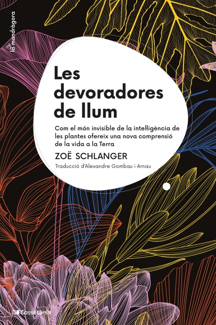 Les devoradores de llum - Zoë Schlanger