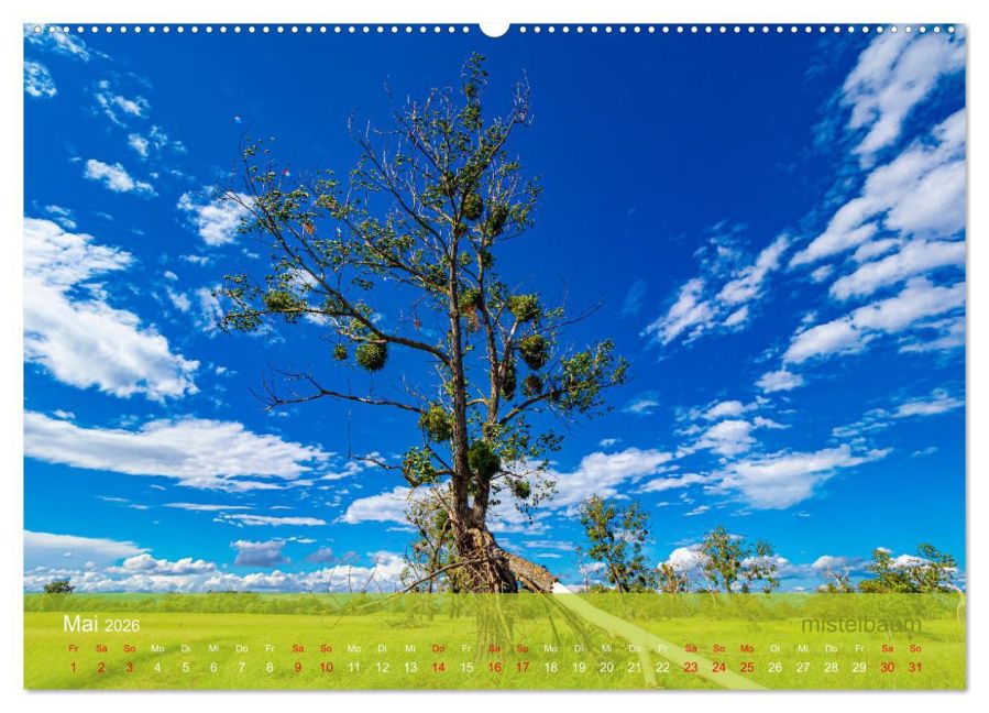 InsideView 10