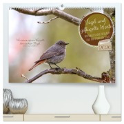 Vögel und geflügelte Worte (hochwertiger Premium Wandkalender 2026 DIN A2 quer), Kunstdruck in Hochglanz - Sabine Löwer