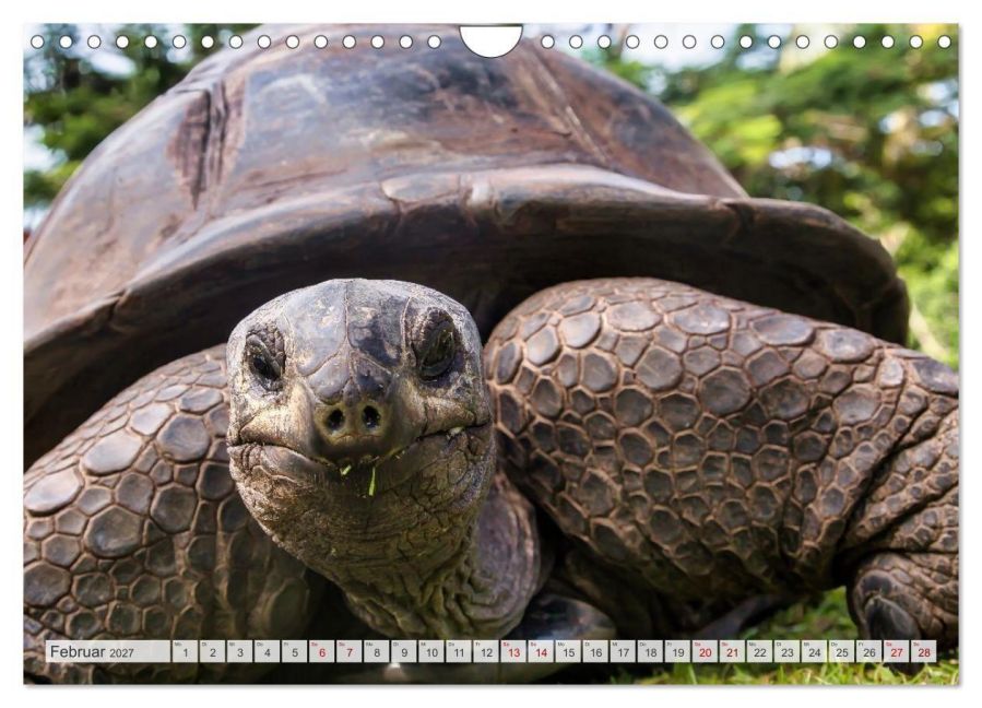 InsideView 7