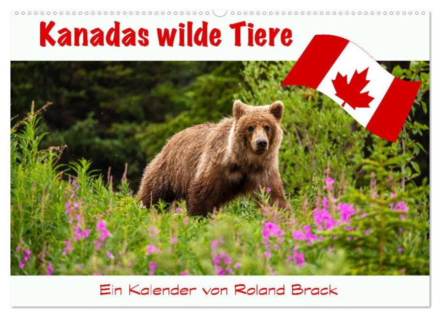 Kanadas Wilde Tiere (Wandkalender 2026 DIN A2 quer), CALVENDO Monatskalender - Roland Brack