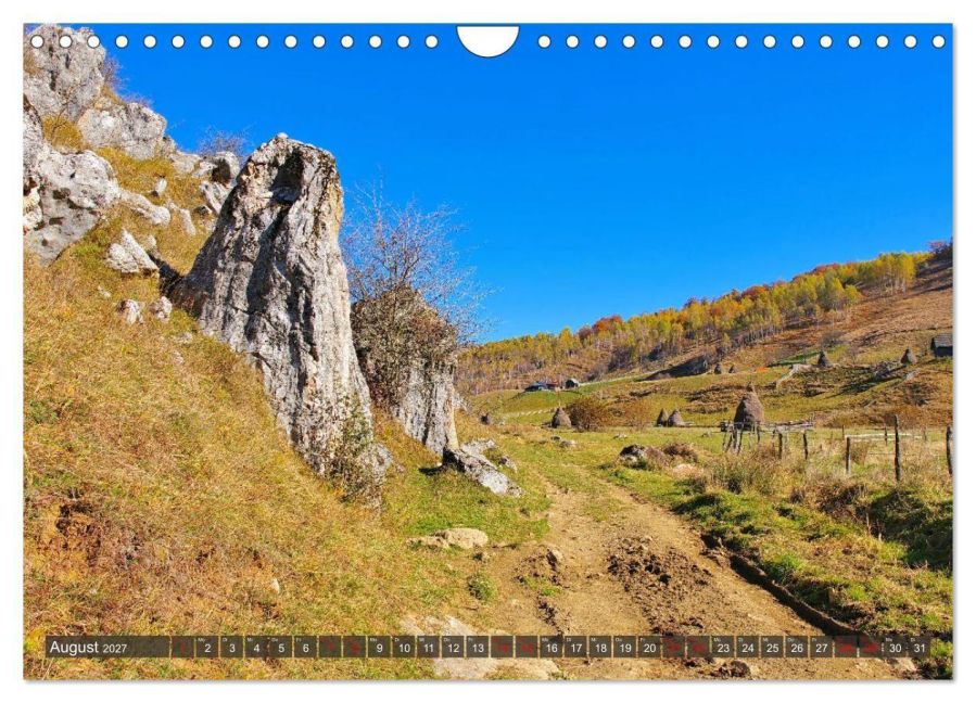 InsideView 13