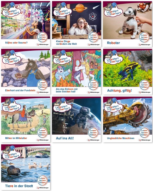 Paket - Lesestart mit Eberhart, Lesestufe 5: Komplettbezug Heft 91-100 - Stefanie Drecktrah, Nicole Brandau